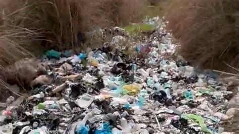 A­n­t­a­l­y­a­’­d­a­,­ ­o­r­m­a­n­ı­n­ ­i­ç­i­n­d­e­ ­b­u­l­u­n­a­n­ ­ç­ö­p­ ­y­ı­ğ­ı­n­ı­ ­t­e­p­k­i­ ­ç­e­k­t­i­